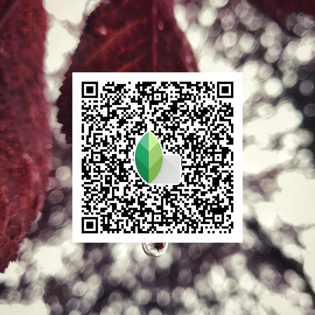 snapseed qr code for girls ()