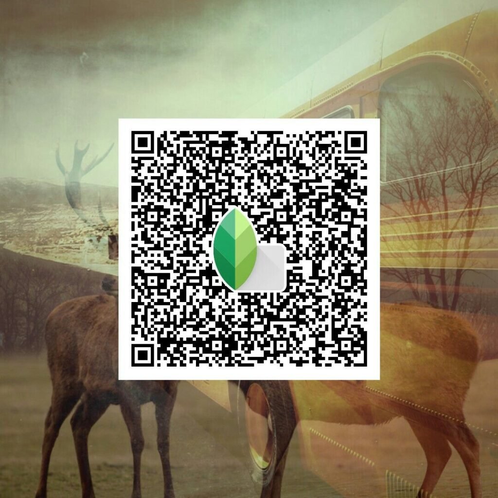 snapseed qr code for girls ()