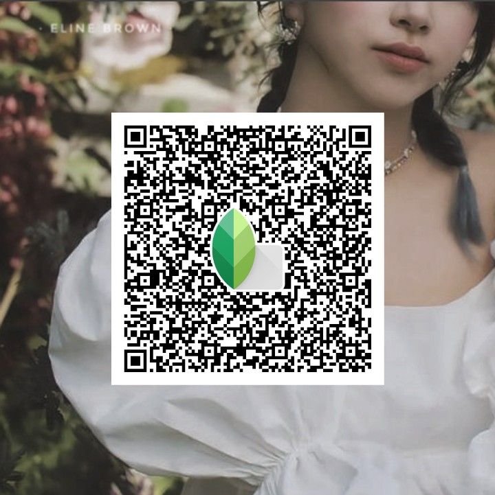 snapseed qr code girl
